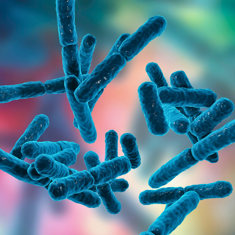 probioticos-beneficios-salud-vaginal