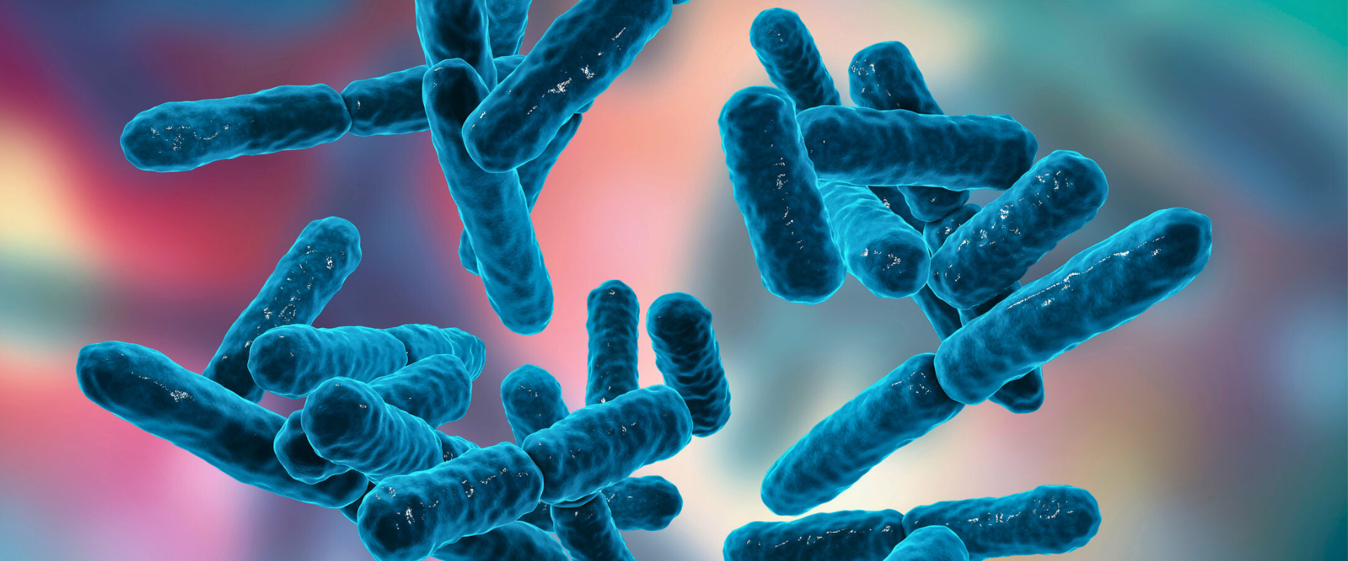 Probióticos y beneficios para la salud vaginal