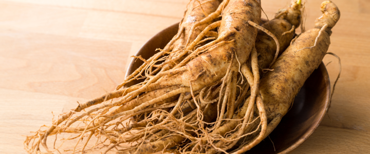 Ginseng suplementos para la menopausia